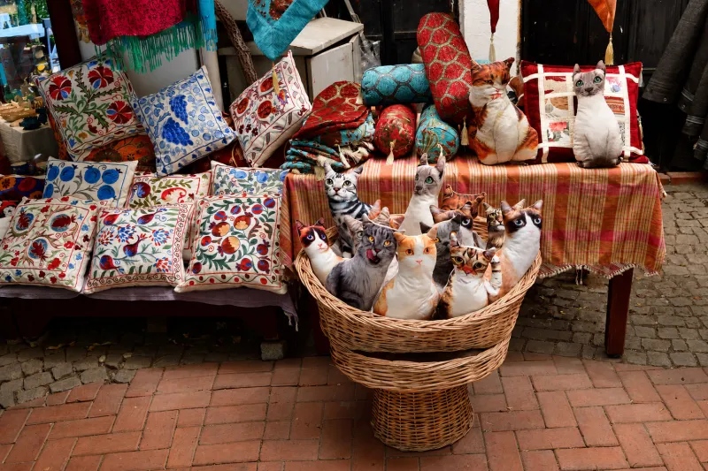 Paspatur Bazaar handmade cushions and souvenir shop