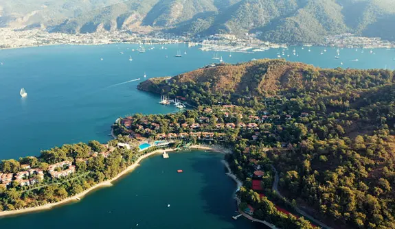 Overview