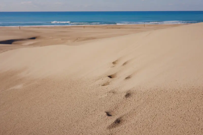 patara beach is famous tourist landmark and natural
